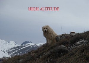 high altitude