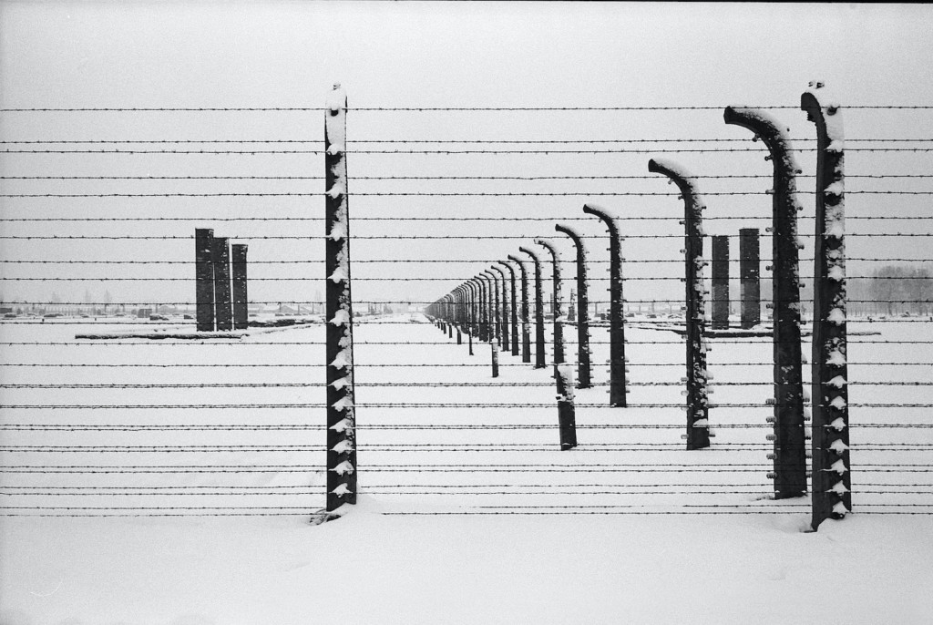 Giornata della memoria - Auschwitz - Foto di Danilo Balducci - Tutti i diritti riservati
