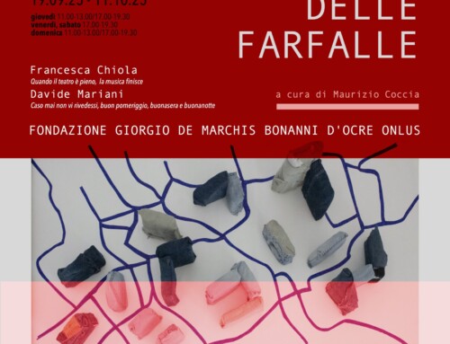 La vita notturna delle farfalle Francesca Chiola e Davide Mariani